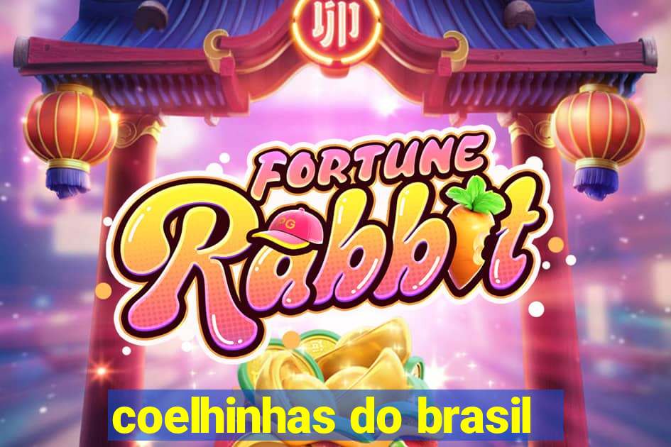 coelhinhas do brasil